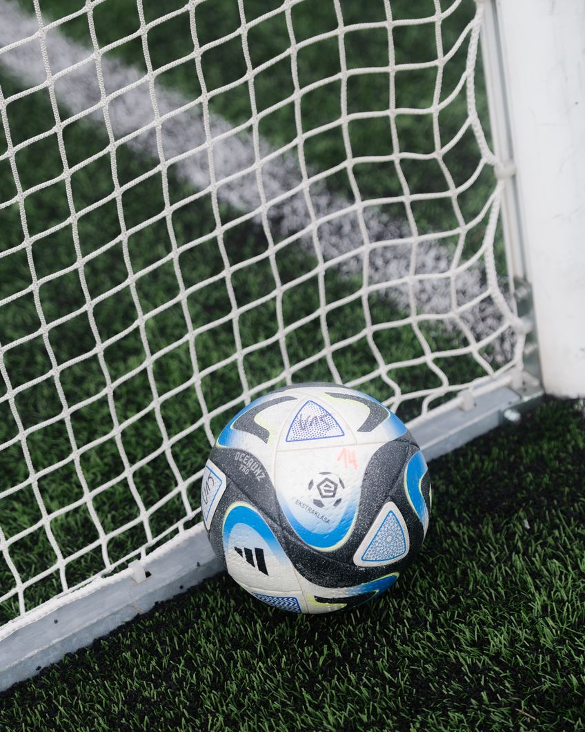 Zdjęcie z galerii nr 1