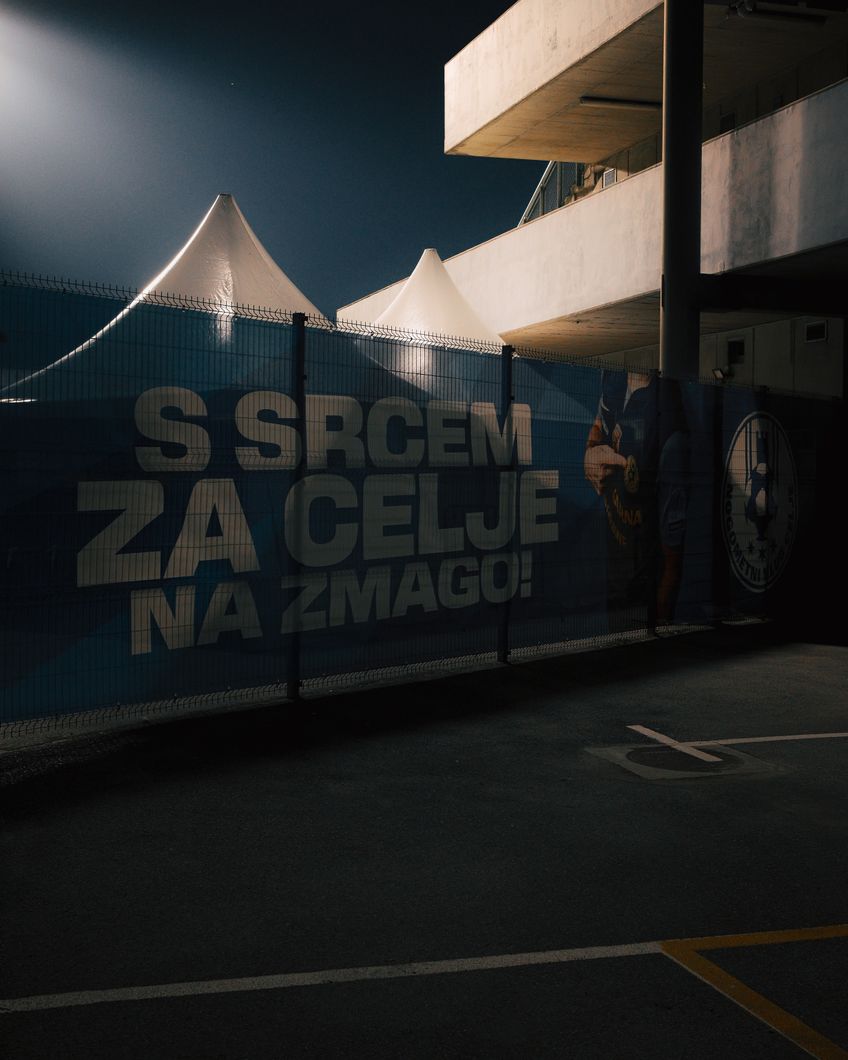 Zdjęcie z galerii nr 1