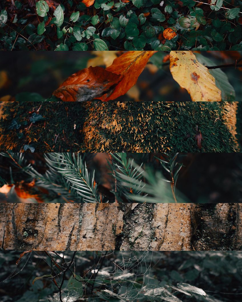 Zdjęcie z galerii nr 1