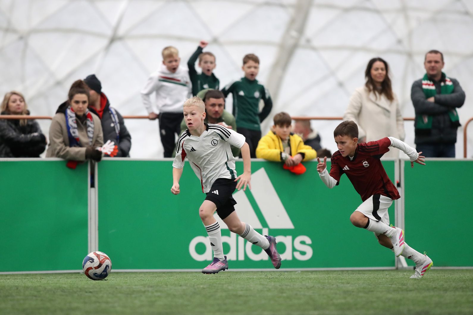 Zdjęcie z galerii nr 1