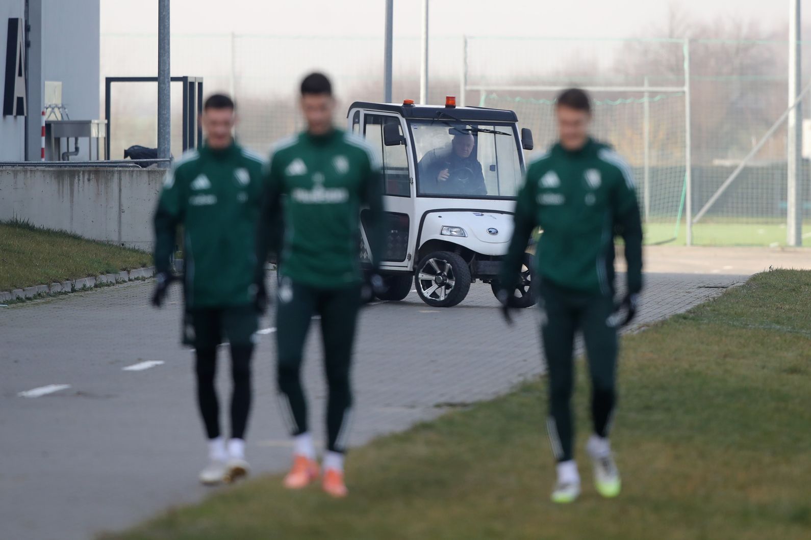 Zdjęcie z galerii nr 1