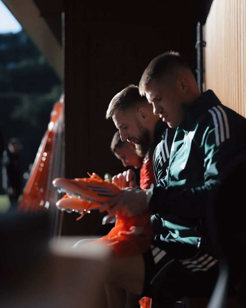 Zdjęcie z galerii nr 1