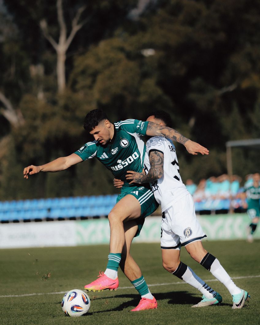 Zdjęcie z galerii nr 1