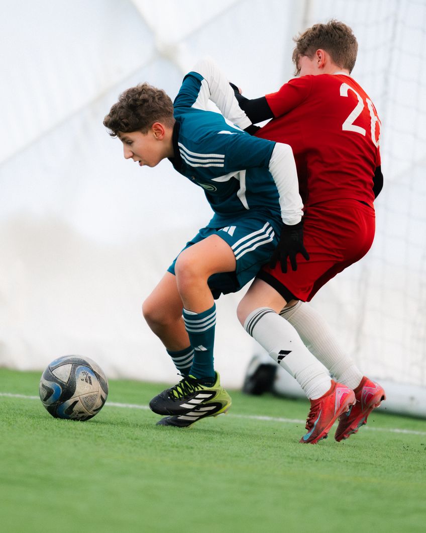 Zdjęcie z galerii nr 1