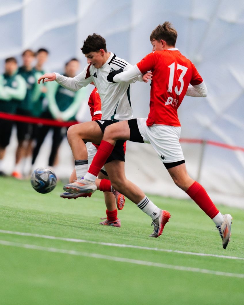 Zdjęcie z galerii nr 1