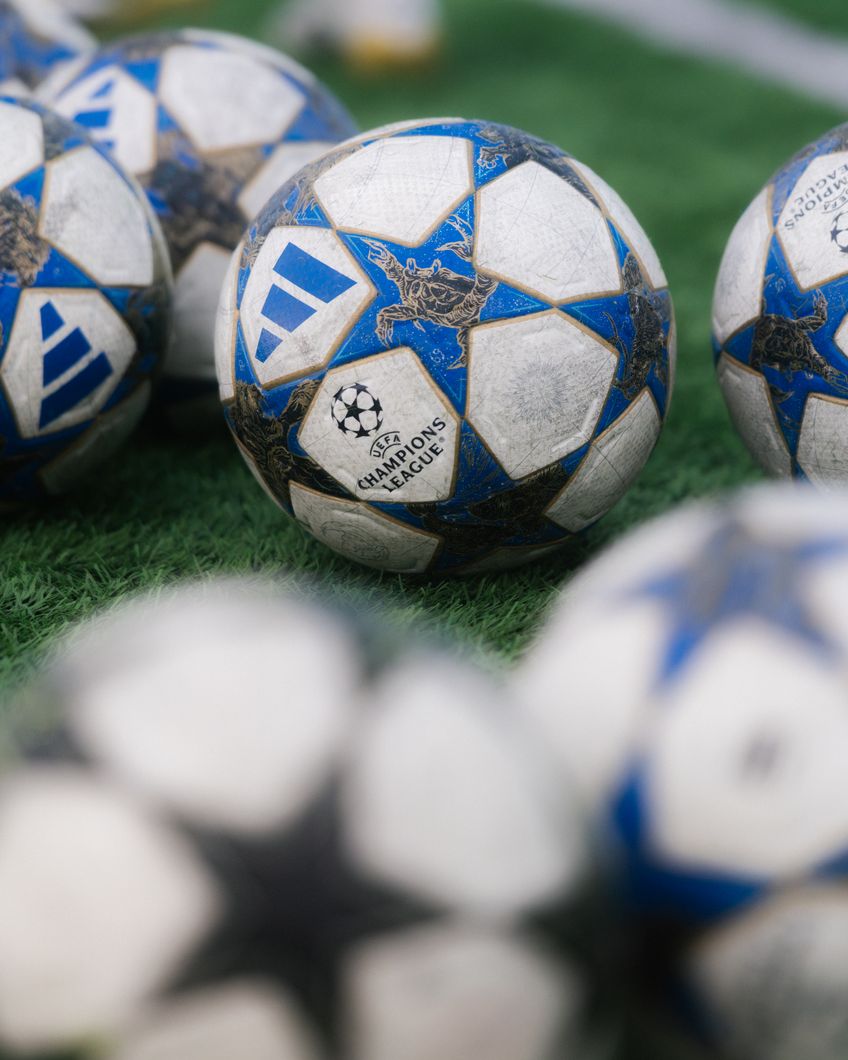 Zdjęcie z galerii nr 1