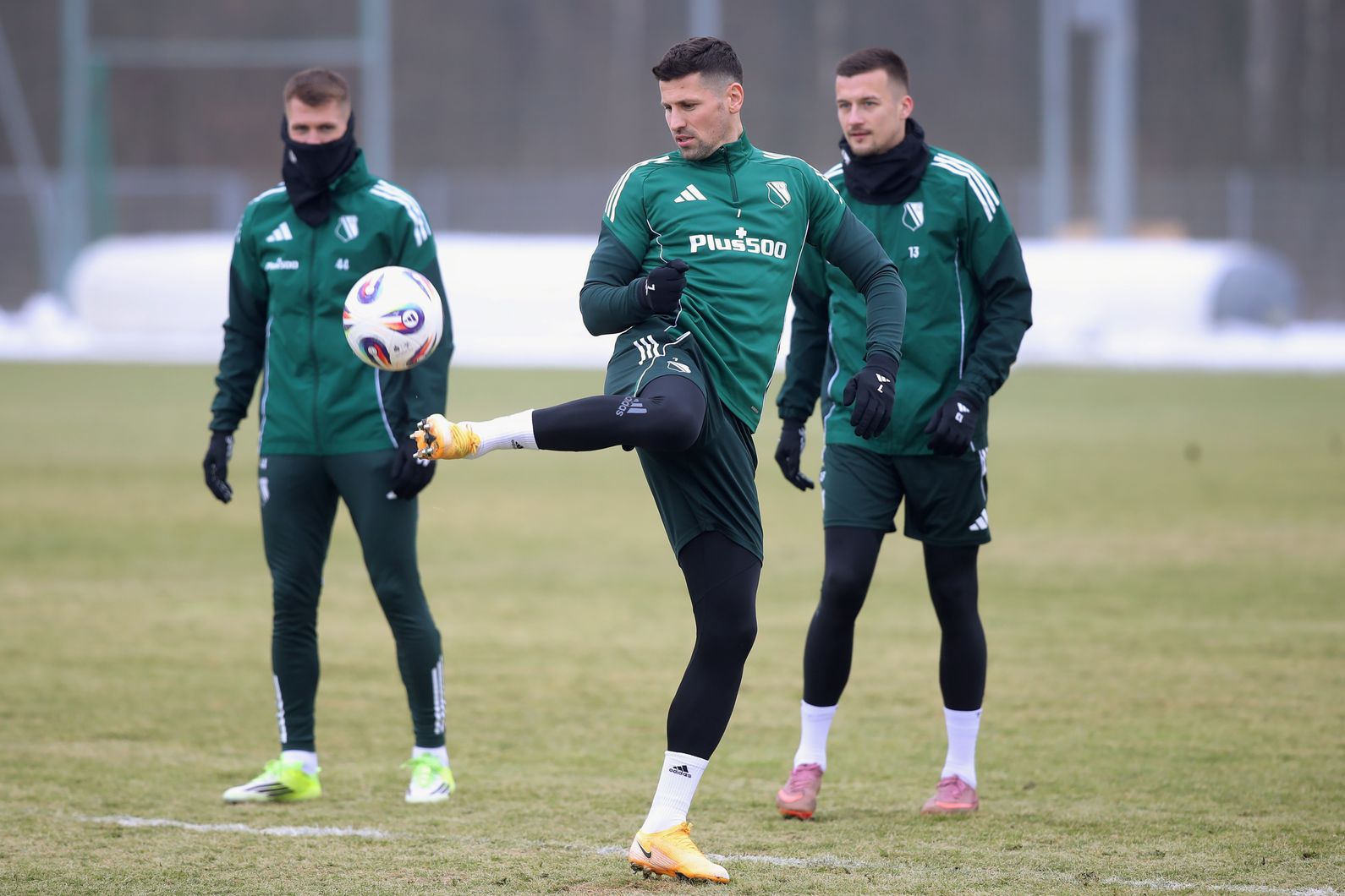 Zdjęcie z galerii nr 1