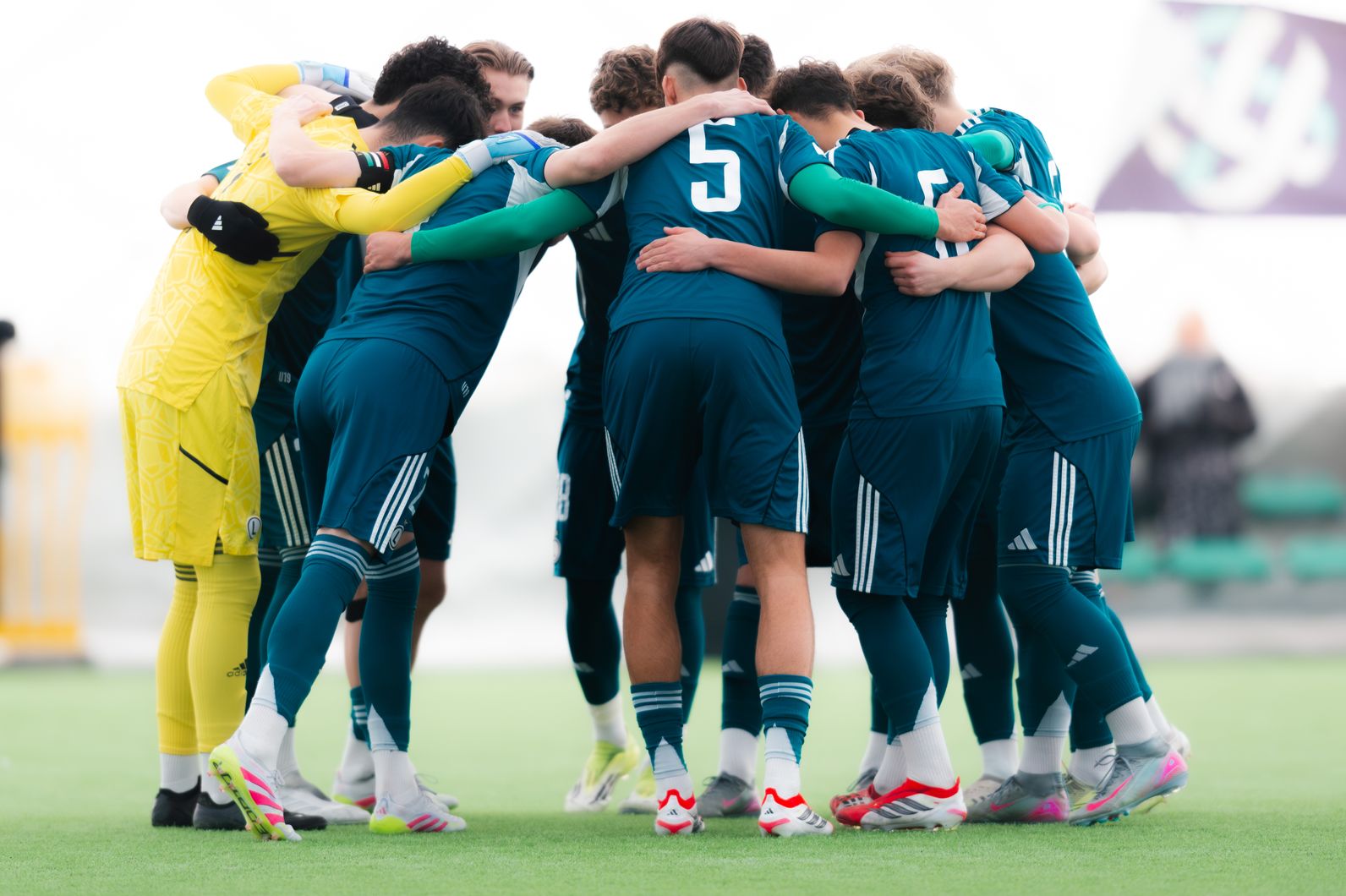 Zdjęcie z galerii nr 1