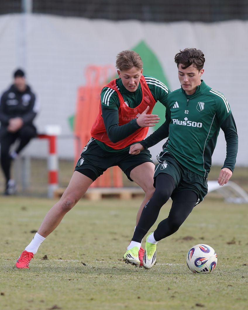 Zdjęcie z galerii nr 1