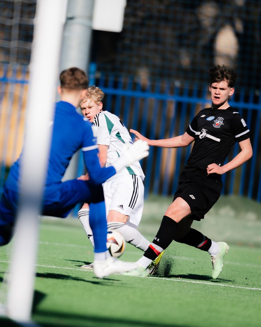 Zdjęcie z galerii nr 1