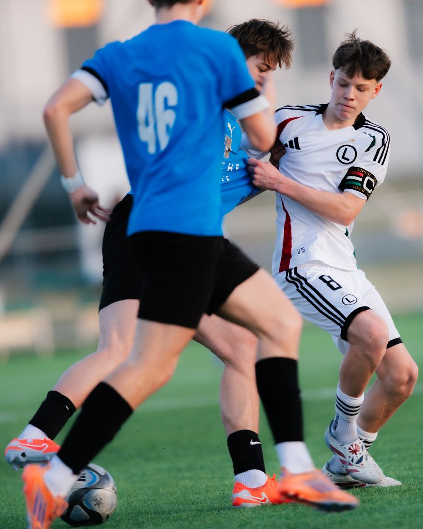 Zdjęcie z galerii nr 1