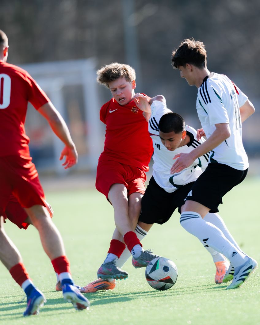 Zdjęcie z galerii nr 1