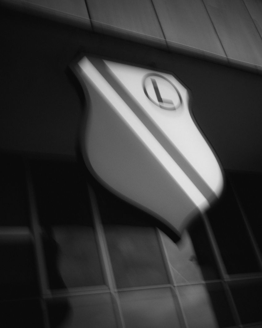 Zdjęcie z galerii nr 1