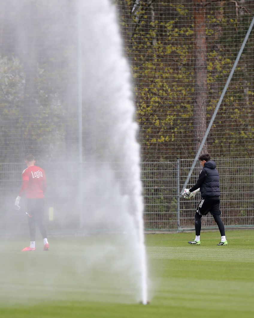 Zdjęcie z galerii nr 1